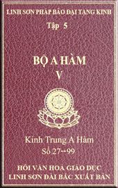 Tập 5
