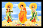 Tay-Phuong-Tam-Thanh-31
